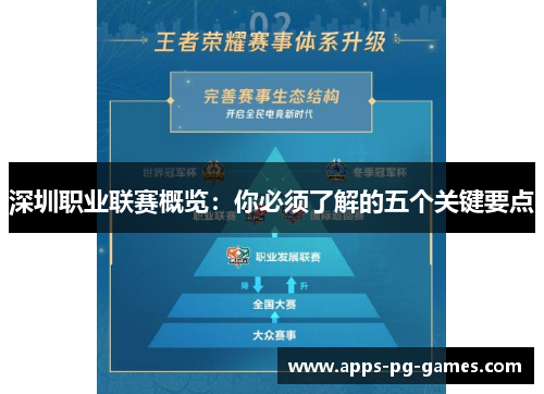 深圳职业联赛概览：你必须了解的五个关键要点