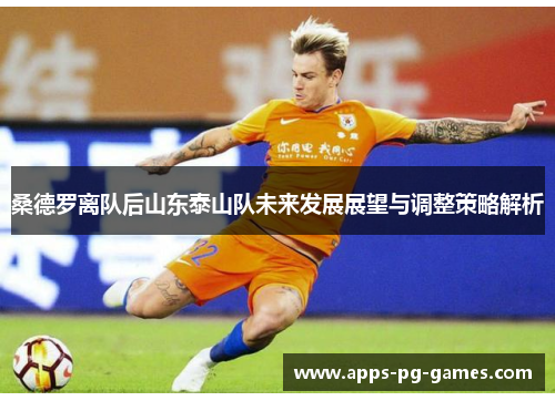 桑德罗离队后山东泰山队未来发展展望与调整策略解析