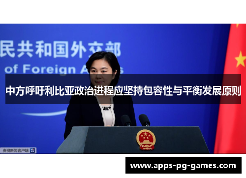 中方呼吁利比亚政治进程应坚持包容性与平衡发展原则