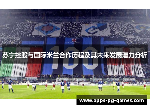 苏宁控股与国际米兰合作历程及其未来发展潜力分析 苏宁控股与国际米兰合作历程及其未来发展潜力分析