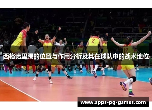 西格诺里踢的位置与作用分析及其在球队中的战术地位 西格诺里踢的位置与作用分析及其在球队中的战术地位
