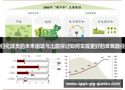 归化球员的未来困境与出路探讨如何实现更好的发展路径