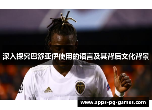 深入探究巴舒亚伊使用的语言及其背后文化背景 深入探究巴舒亚伊使用的语言及其背后文化背景
