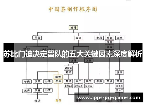苏比门迪决定留队的五大关键因素深度解析 苏比门迪决定留队的五大关键因素深度解析