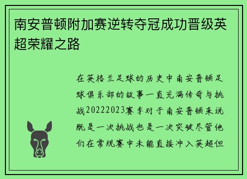 南安普顿附加赛逆转夺冠成功晋级英超荣耀之路
